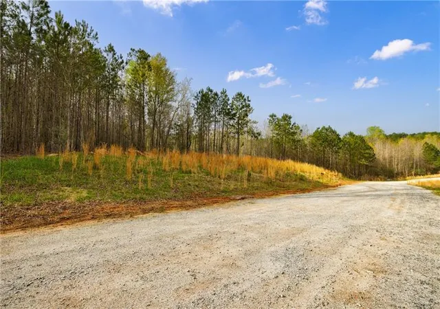 5th image of 8385 Serenbe Rd, Chattahoochee Hills, GA 30268 | MLS# 7727626