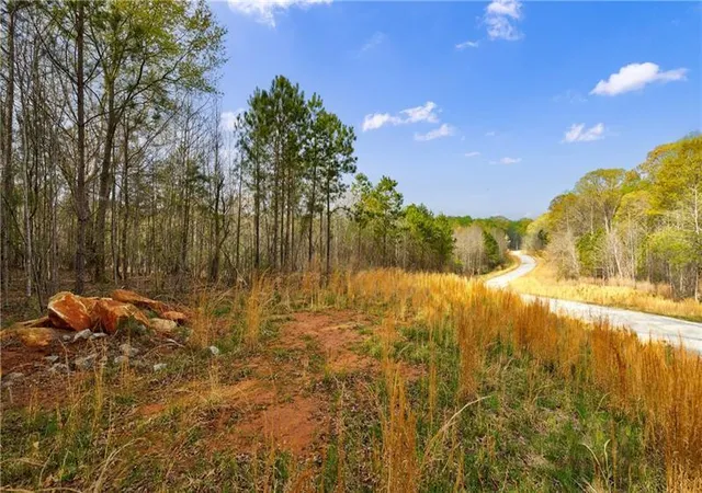 6th image of 8385 Serenbe Rd, Chattahoochee Hills, GA 30268 | MLS# 7727626