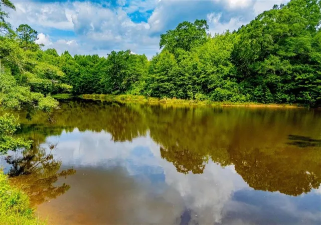 Photo 2 of Land for sale at 2103 Carrollton Hwy, Temple, GA 30179 | MLS# 7818948 | Listing updated on 2026-08-11