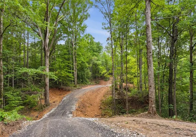1st image of Lot 2 Pete Path, Dallas, GA 30157 | MLS# 7796136