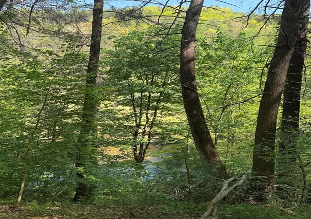 5th image of 98 Ac Brown Mountain Rd, Suches, GA 30572 | MLS# 7763587