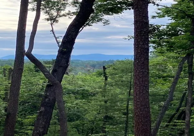 Photo 1 of Land for sale at Lt 132 Red Oak Trl, Ellijay, GA 30540 | MLS# 7794728 | Listing updated on 2026-10-16