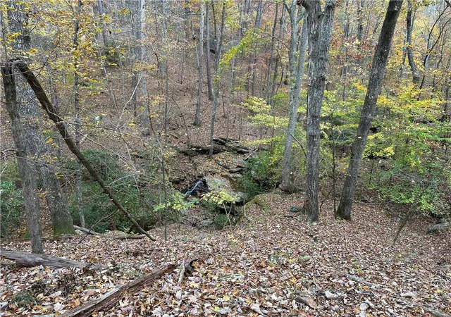 60th image of 0 Super Deluxe Road, Rockmart, GA 30153 | MLS# 7694437