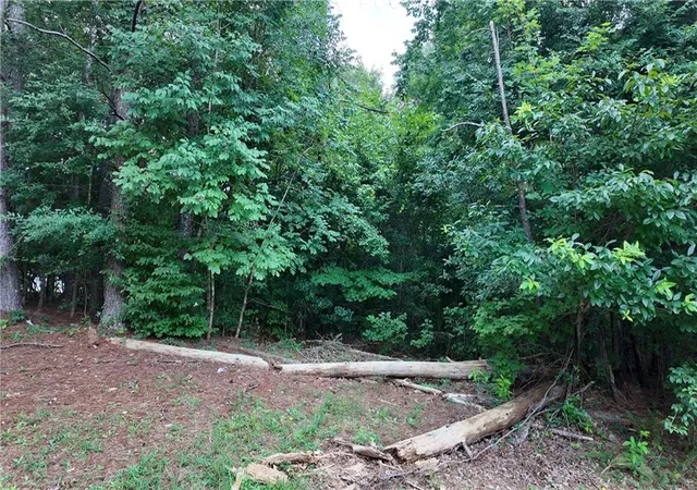 Photo 3 of Land for sale at 5221 Sandy Shrs Ct, Lithonia, GA 30038 | MLS# 7823596 | Listing updated on 2026-08-20