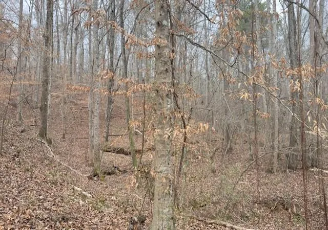 2nd image of 00lot1 N Helton Rd, Douglasville, GA 30187 | MLS# 7733072
