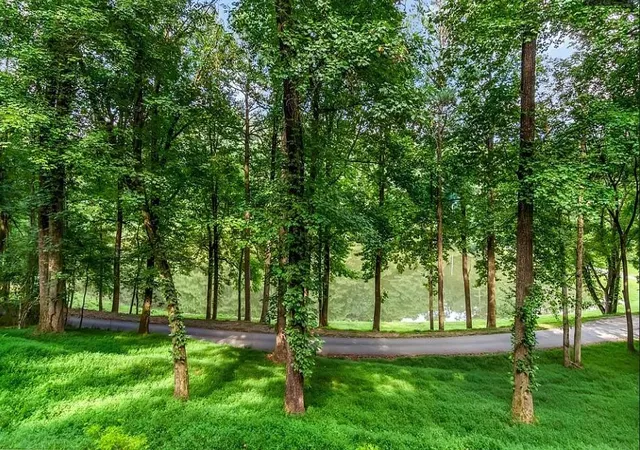 3rd image of 165 Timberwalk Dr, Ellijay, GA 30540 | MLS# 7824124