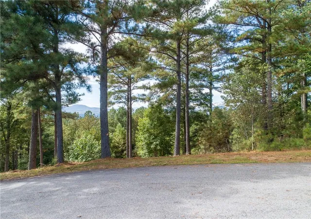 Photo 3 of Land for sale at Lot 14 Mile High Ln, Blairsville, GA 30512 | MLS# 7830008 | Listing updated on 2026-09-01