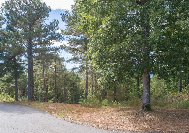 Photo 4 of Land for sale at Lot 14 Mile High Ln, Blairsville, GA 30512 | MLS# 7830008 | Listing updated on 2026-09-01