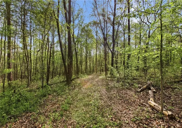 5th image of 6668 Belton Bridge Rd, Lula, GA 30554 | MLS# 7759171