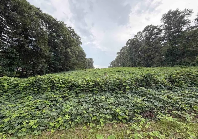 4th image of 15-18 Laurel Ln, Stockbridge, GA 30281 | MLS# 7819460