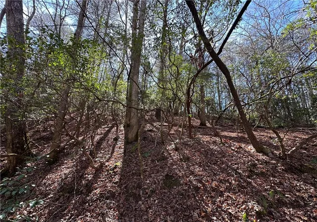Photo 4 of Land for sale at 0 Coffee Ml Run, Talking Rock, GA 30175 | MLS# 7801915 | Listing updated on 2026-07-20