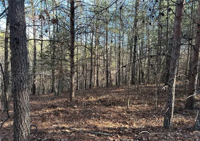 2nd image of 00000 Twin River Orchard Rd, Demorest, GA 30535 | MLS# 7697494
