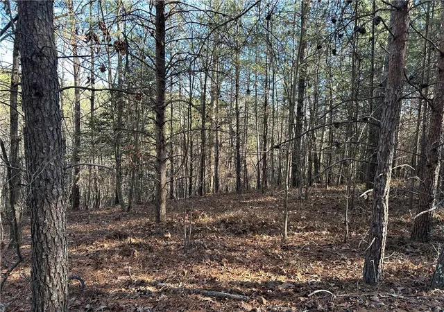 3rd image of 00000 Twin River Orchard Rd, Demorest, GA 30535 | MLS# 7697494