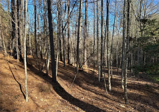 4th image of 00000 Twin River Orchard Rd, Demorest, GA 30535 | MLS# 7697494