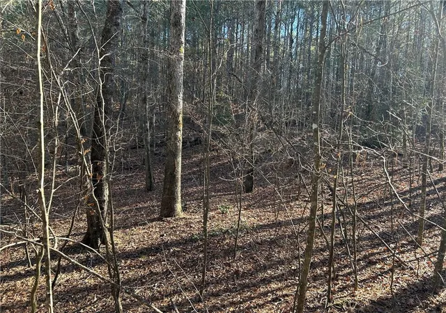 5th image of 00000 Twin River Orchard Rd, Demorest, GA 30535 | MLS# 7697494