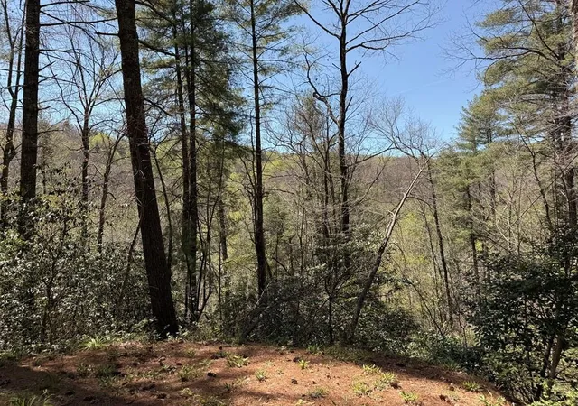 12th image of 306 Jacks River Rd, Epworth, GA 30541 | MLS# 7761179