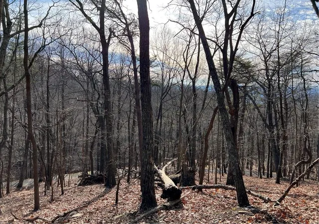 Photo 1 of Land for sale at 4528 Sassafras Mountain Trl, Jasper, GA 30143 | MLS# 7849087 | Listing updated on 2026-10-07