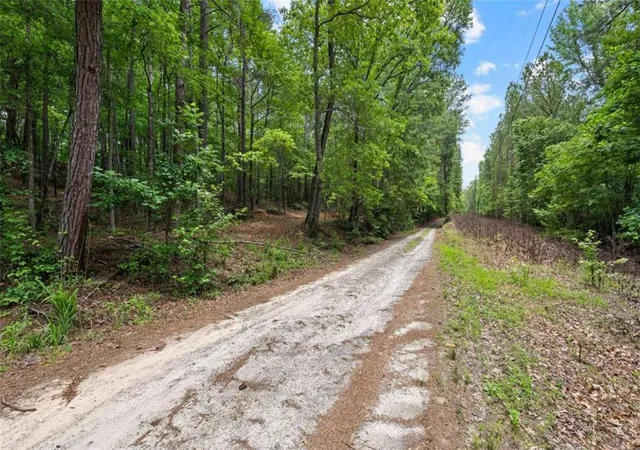 Homes for sale in Fairburn, GA | 0 Terry Rd, Fairburn, GA 30213 | MLS# 7802001