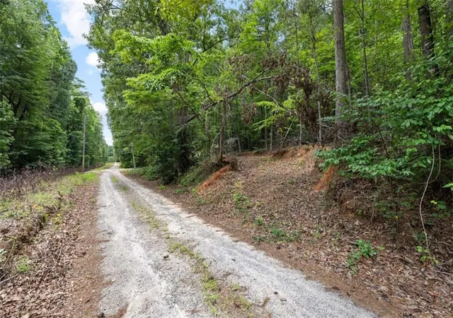 Homes for sale in Fairburn, GA | 0 Terry Rd, Fairburn, GA 30213 | MLS# 7802001