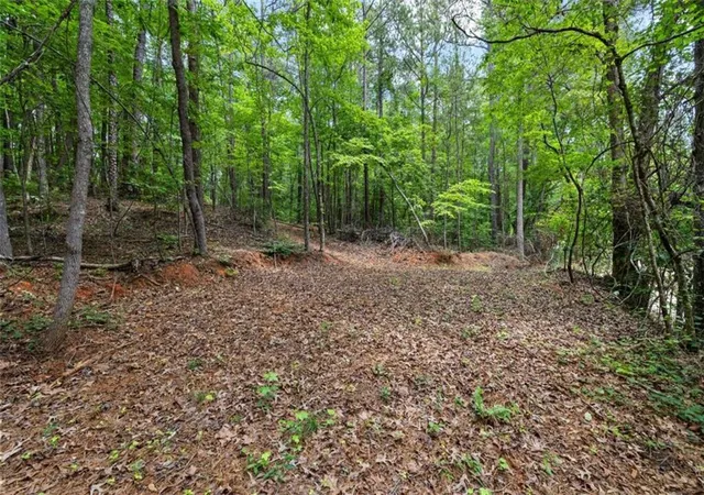 Homes for sale in Fairburn, GA | 0 Terry Rd, Fairburn, GA 30213 | MLS# 7802001