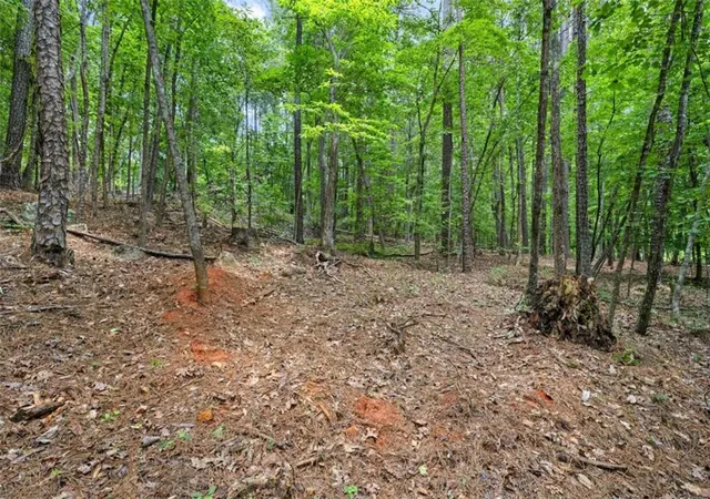 4th image of 0 Terry Rd, Fairburn, GA 30213 | MLS# 7802001