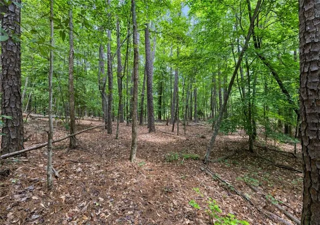 5th image of 0 Terry Rd, Fairburn, GA 30213 | MLS# 7802001