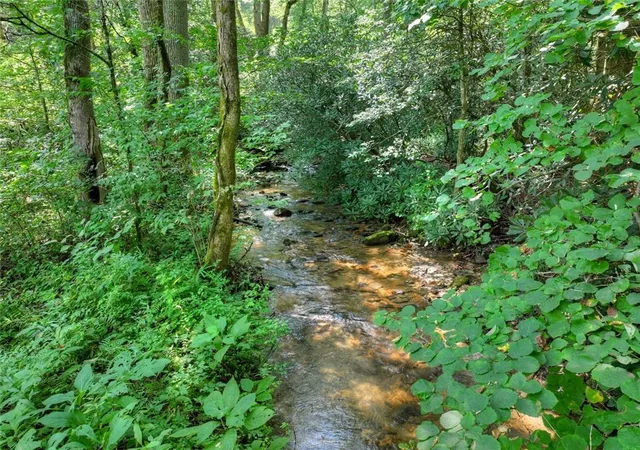 3rd image of 261 Frosty Mountain Trl, Ellijay, GA 30536 | MLS# 7814275