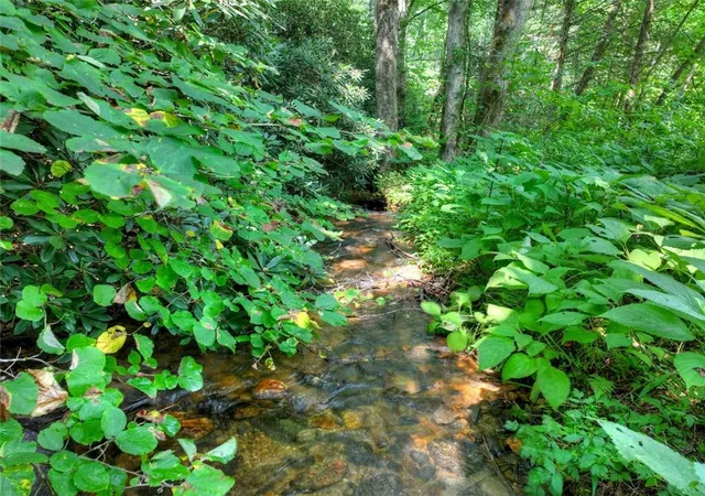 40th image of 261 Frosty Mountain Trl, Ellijay, GA 30536 | MLS# 7814275