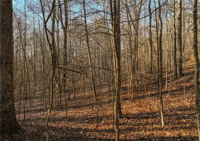 Homes for sale in Murrayville, GA | Lot 12 Mount Mincie Rd, Murrayville, GA 30564 | MLS# 7731190