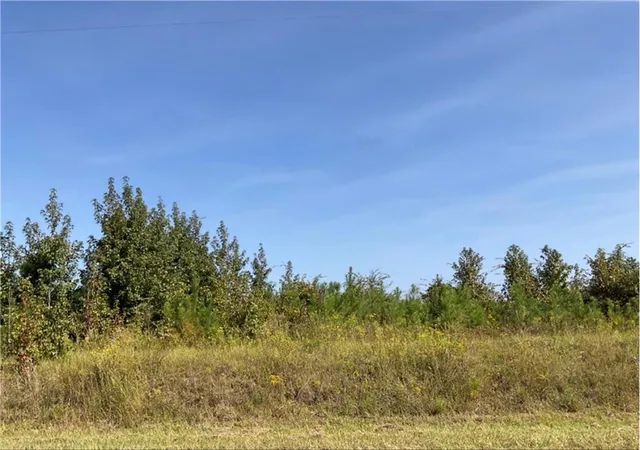 Homes for sale in Toomsboro, GA | 0 Old Balls Ferry Road, Toomsboro, GA 31090 | MLS# 7781948