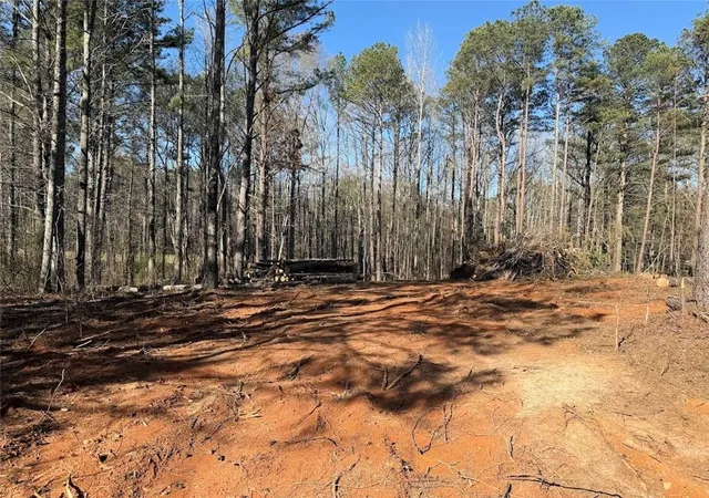 Homes for sale in Bremen, GA | 0 Waterford Rd, Bremen, GA 30110 | MLS# 7739464