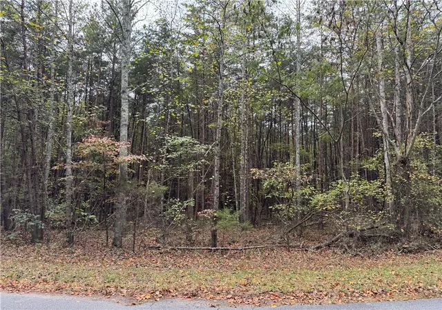 Homes for sale in Fairmount, GA | 00 Cagle Road, Fairmount, GA 30139 | MLS# 7712983