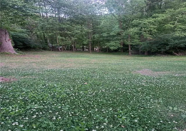 26th image of 47 Lincoln Street, Jasper, GA 30143 | MLS# 7814415