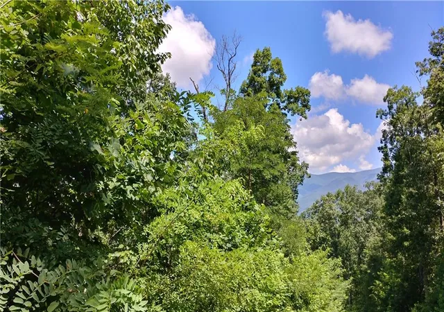 Photo 1 of Land for sale at 0 Goldmine Dr, Ellijay, GA 30536 | MLS# 7799738 | Listing updated on 2026-07-09
