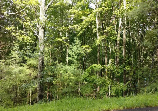 Photo 2 of Land for sale at 0 Goldmine Dr, Ellijay, GA 30536 | MLS# 7799738 | Listing updated on 2026-07-09