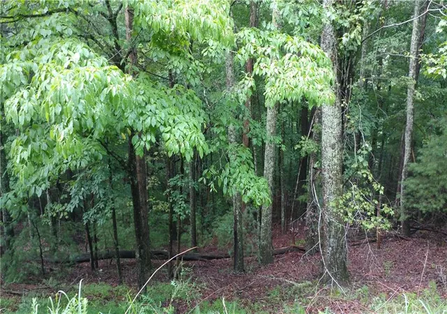 Photo 2 of Land for sale at 0 Goldmine Dr, Ellijay, GA 30536 | MLS# 7799738 | Listing updated on 2026-07-09