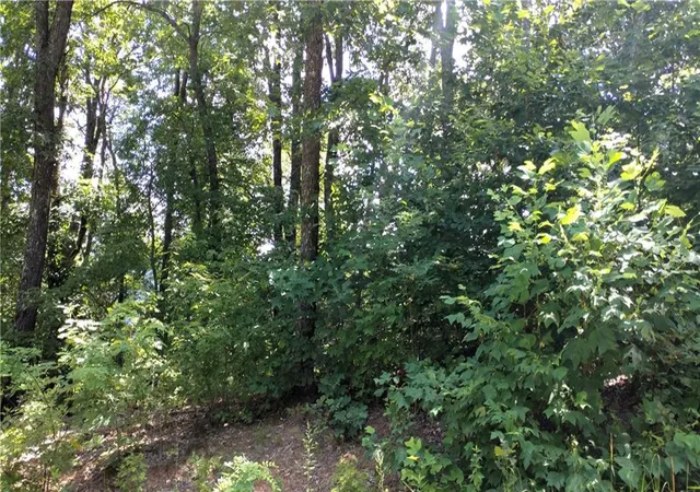 Photo 3 of Land for sale at 0 Goldmine Dr, Ellijay, GA 30536 | MLS# 7799738 | Listing updated on 2026-07-09