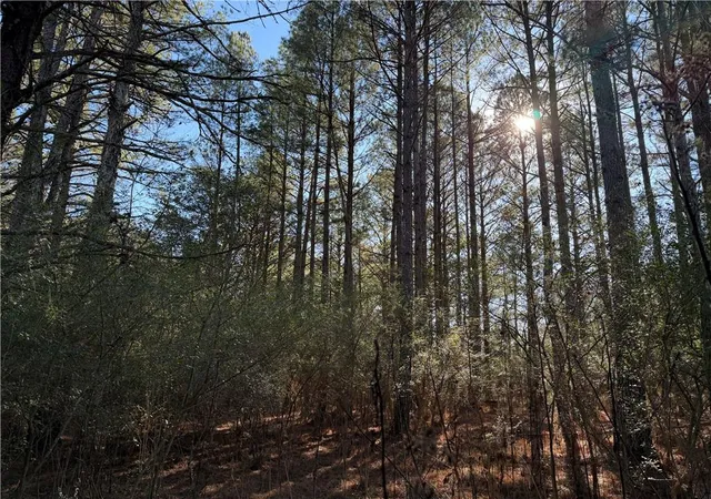 Photo 2 of Land for sale at 000000 Liberty Church Rd, Ranger, GA 30734 | MLS# 7764909 | Listing updated on 2026-08-25