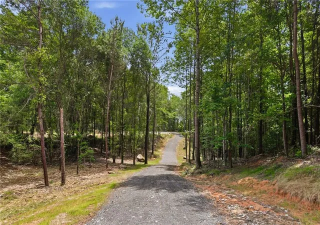 2nd image of Lot 4 Orlando Path, Dallas, GA 30157 | MLS# 7796131