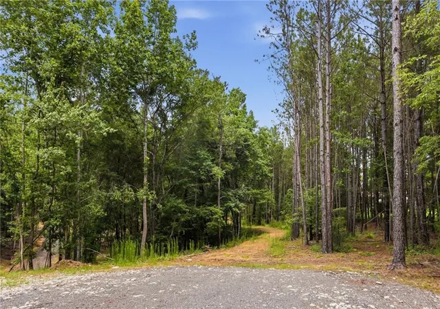 5th image of Lot 4 Orlando Path, Dallas, GA 30157 | MLS# 7796131