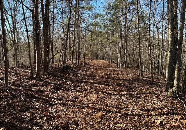 2nd image of 00 Twin River Orchard Rd, Demorest, GA 30535 | MLS# 7697445
