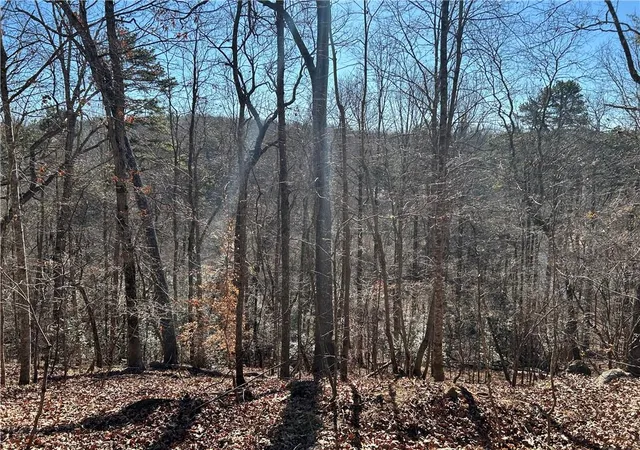 3rd image of 00 Twin River Orchard Rd, Demorest, GA 30535 | MLS# 7697445