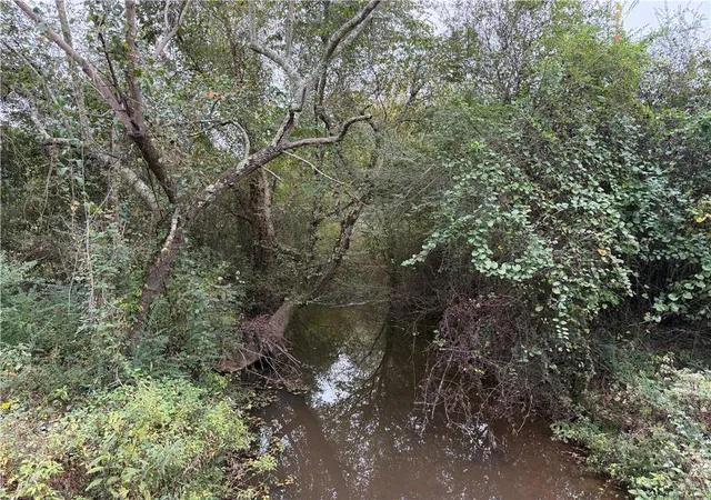 Photo 2 of Land for sale at 0 County Road 60, Heflin, AL 36264 | MLS# 7662118 | Listing updated on 2026-02-06