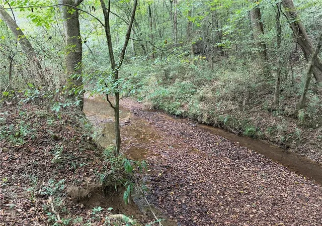 Photo 3 of Land for sale at 0 County Road 60, Heflin, AL 36264 | MLS# 7662118 | Listing updated on 2026-02-06