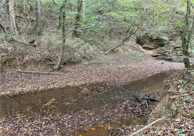 Photo 3 of Land for sale at 0 County Road 60, Heflin, AL 36264 | MLS# 7662118 | Listing updated on 2026-02-06