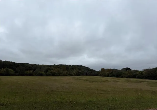 Photo 4 of Land for sale at 0 County Road 60, Heflin, AL 36264 | MLS# 7662118 | Listing updated on 2026-02-06