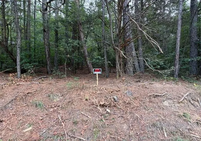 1st image of 0 Iron Hl Rd Lot 2, Taylorsville, GA 30178 | MLS# 7816032