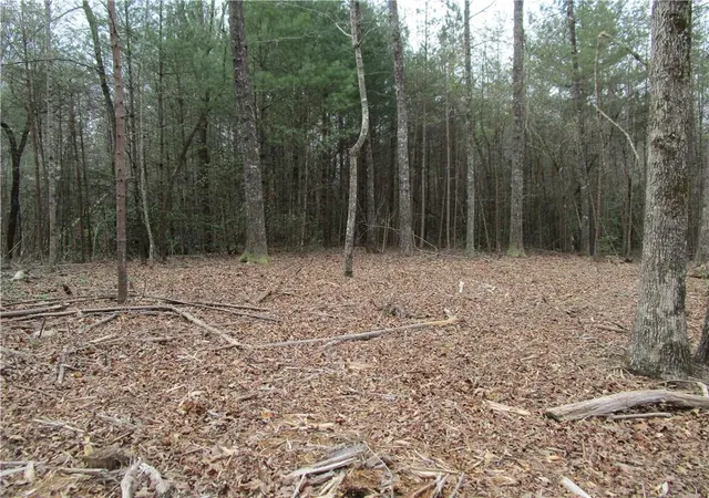 Photo 1 of Land for sale at 3 Ac E New Hope Rd, Ellijay, GA 30536 | MLS# 7749632 | Listing updated on 2026-08-24