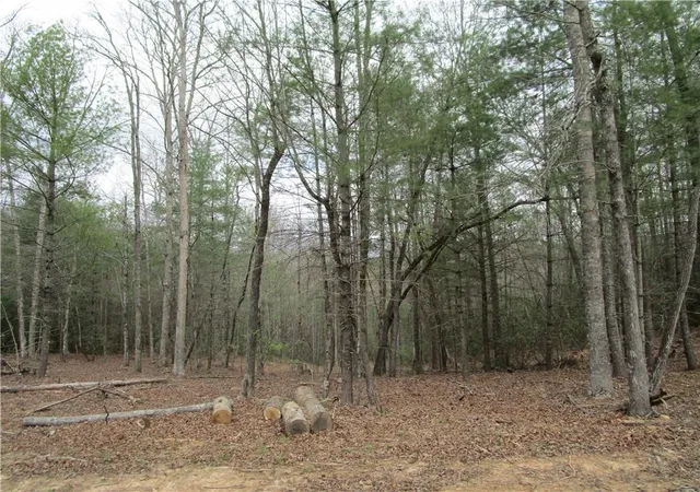 Photo 2 of Land for sale at 3 Ac E New Hope Rd, Ellijay, GA 30536 | MLS# 7749632 | Listing updated on 2026-08-24
