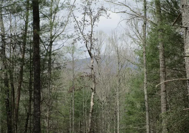Photo 57 of Land for sale at 3 Ac E New Hope Rd, Ellijay, GA 30536 | MLS# 7749632 | Listing updated on 2026-08-24